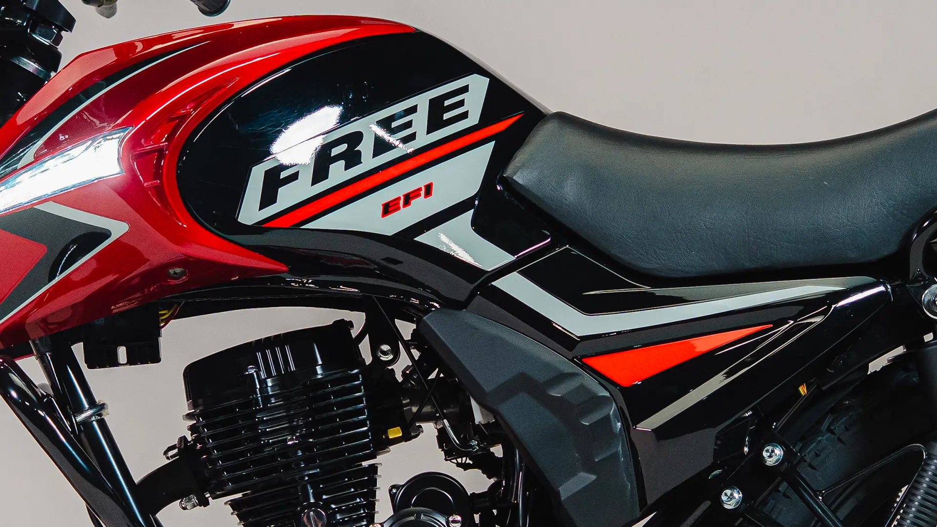 Galeria-FREE-150-6-1