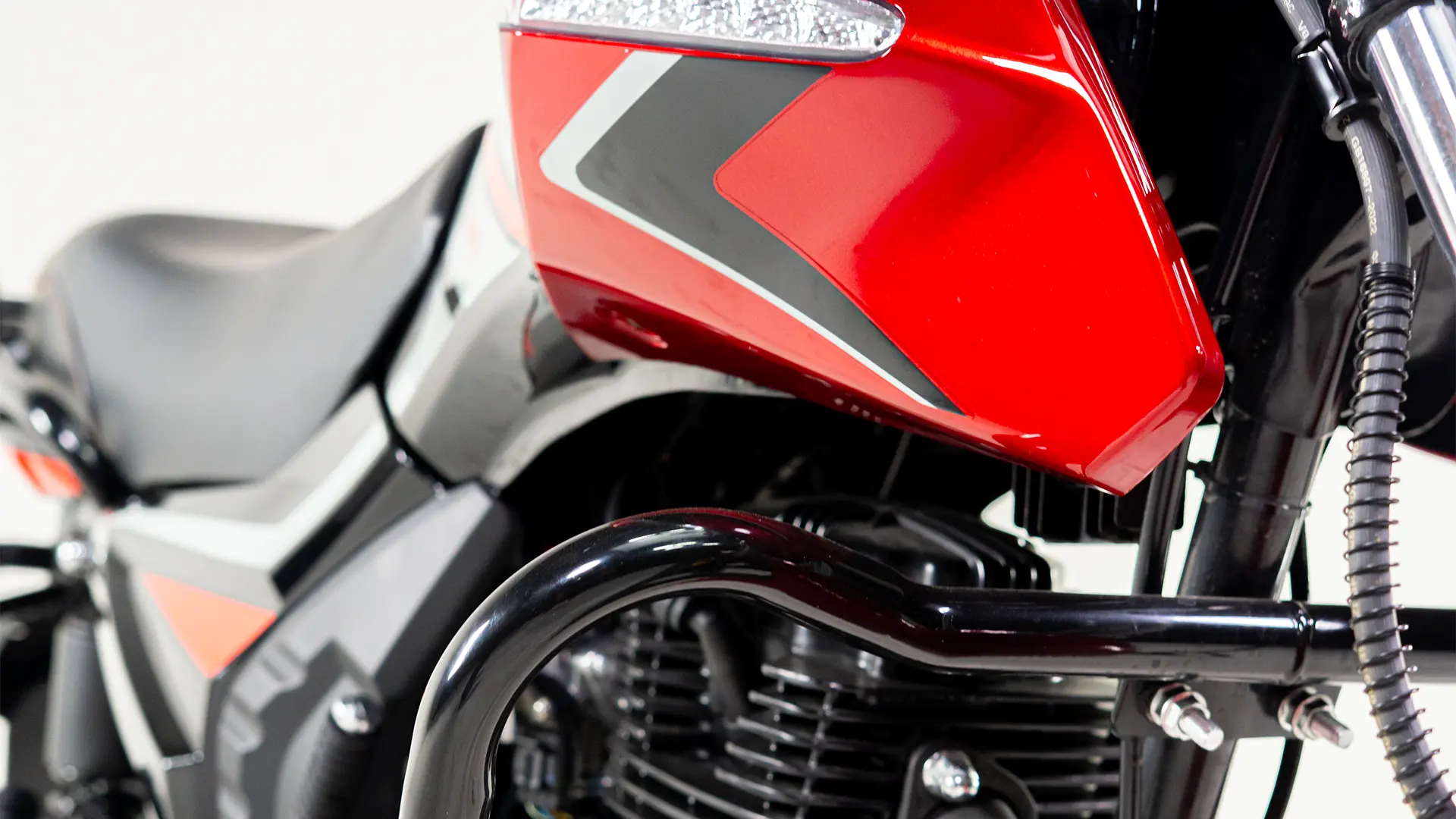 Galeria-FREE-150-7-1